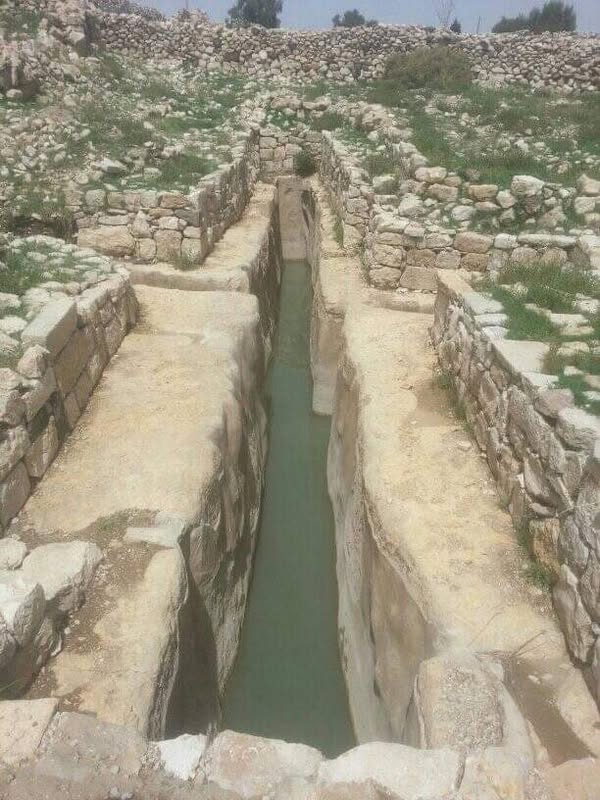 أخطاء ظهرت مؤخرًا في لفظ بعض المصطلحات الواردة في نقوش اليمنية القديمة 